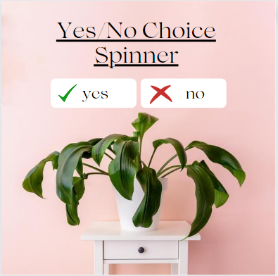 Yes/No Choice Spinner